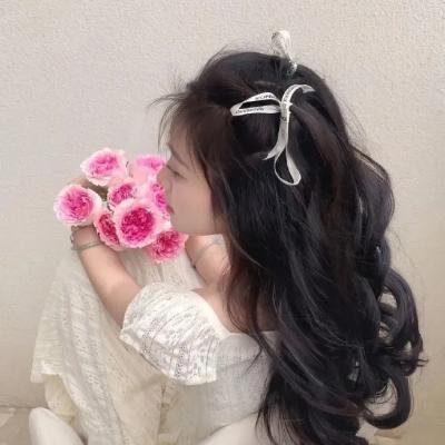 大唐女巡按
