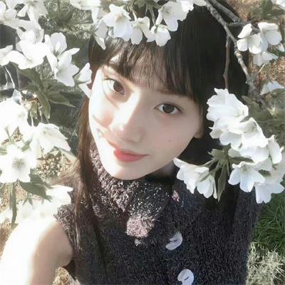 红槐花